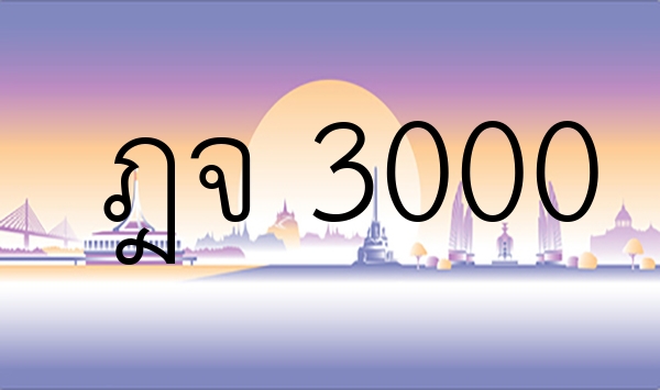 ฎจ  3000